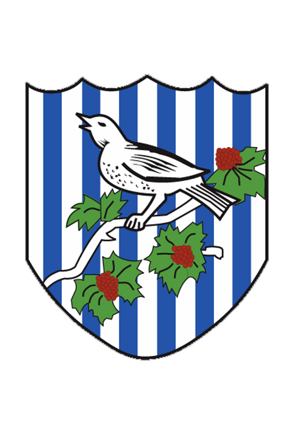 west bromwich albion cap