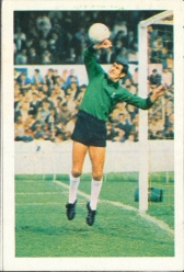 Peter Bonetti