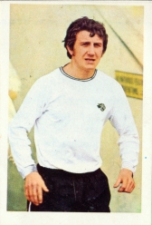 Roy Mcfarland