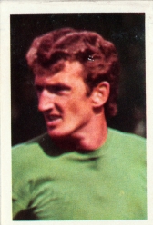 Alex Stepney