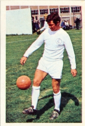 Johnny Giles