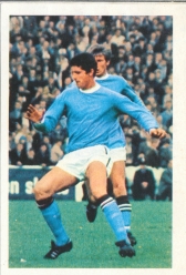 Mike Doyle