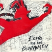 Echo And The Bunnymen The Pictures On My Wall