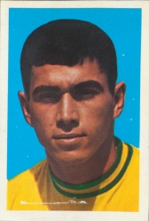 Clodoaldo Brazil