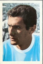 Pedro Rocha