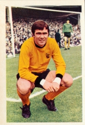 Bobby Gould